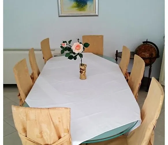 Ruza 프리모스턴